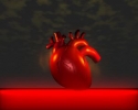 Širdies aritmijos rūšys